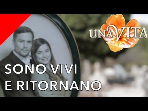 Come salvare un cucciolo da parassiti Tosse da vermi ai sintomi di bambino