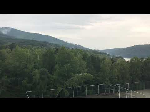 Surduc, județul Timiș