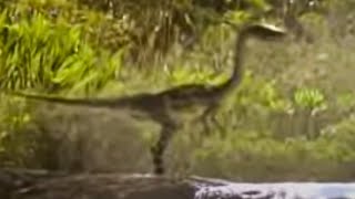 The Age of the Dinosaur Dawns - Walking With Dinosaurs - BBC