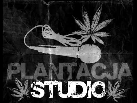 Cisek & Danek - Smak sensi