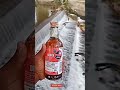 Tamil Sarakku Status Black Pearl Brandy Sarakku Alcoholic Buddy Shorts Ytshorts