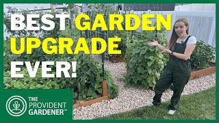 Drip Irrigation for Beginners: The Easiest Way to Water Your Garden