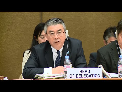 Japan Cannot Claim Sovereign Immunity and Also Insist that WWII Sexual Slavery was Private Contractual Acts