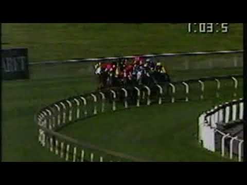 1991 Memsie Stakes - Redelva
