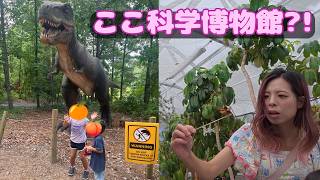 アメリカの科学博物館が想像以上に楽しすぎた!家族で大満喫Vlog