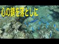 心の錆を落としに　海へ