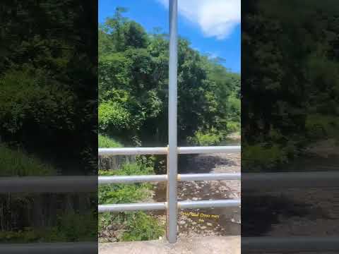 #nascascolo #lislique #launion