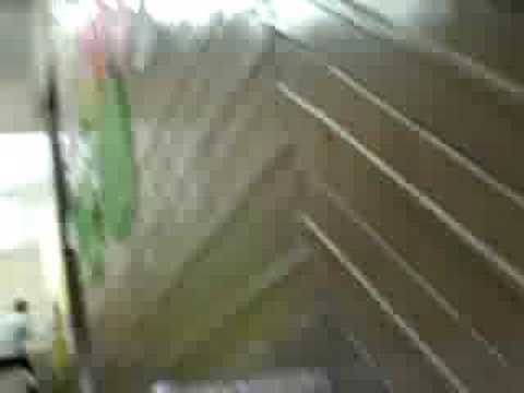 [Hora libre en el BIEDMAA]