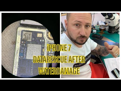 BASIC REPAIRS - iPHONE 7 DATA RESCUE AFTER PHONE WAS TAKING A PEE BATH - SMELLED UGLY