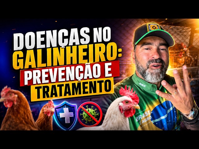 Doenças no Galinheiro: prevenção e tratamento.