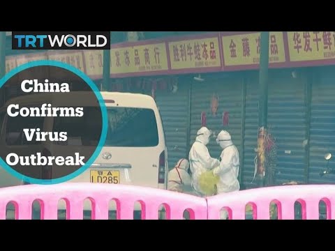 Coronavirus: China confirms human-to-human transmission
