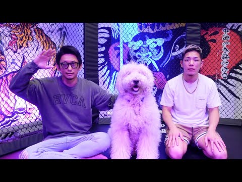 【西の悪童】弘輝とスパーリングしてみた