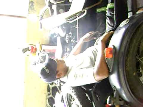 Salvia Divinorum 17x.