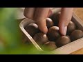 CoffeeB Macchina da caffè a porzioni CoffeeB Pluto Black