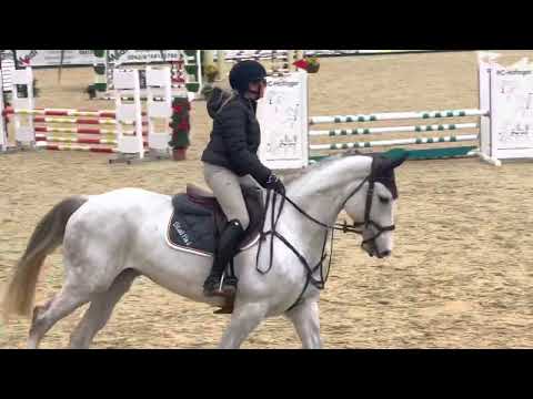 ZARA WHITE (5yo Zirocco Blue) 1.04.22 Ranshofen 🇦🇹 - 1. Platz Youngster 105 cm