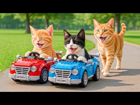 Mama Cat Makes Watermelon Ice Cream to Buy a LEGO Toy Car for Kitten 🍉🍦🐱