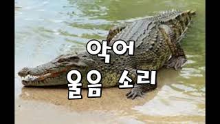 동물 울음소리 맞추기