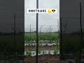 Shetkari Viralshort Farming Agriculture Status Sheti Trending