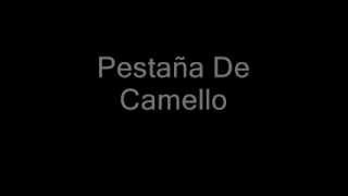 Divididos - Pestaña De Camello