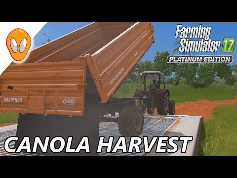 Canola Harvest | Farming Simulator 17 Platinum | Estancia Lapacho Ep 4