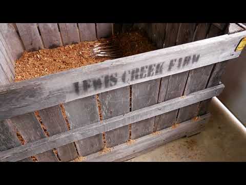 download lagu mp3 mp4 Growing Cider Apples, download lagu Growing Cider Apples gratis, unduh video klip Growing Cider Apples