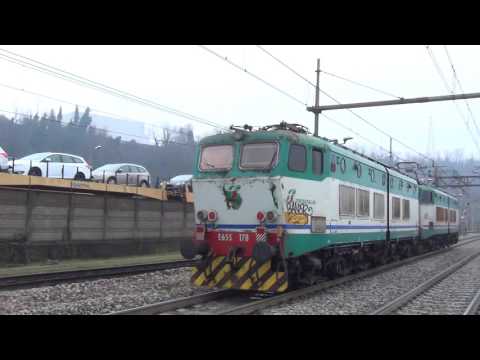 DOPPIA DI CAIMANI IN TRANSITO NELLA STAZIONE DI CARIMATE.(CO) 11 - 2 - 2017
