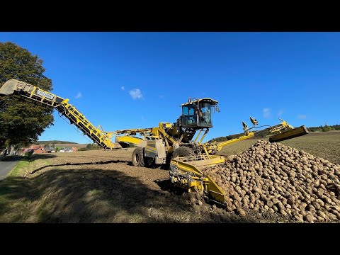 Große Maschinen, süße Ernte - Rübenkampagne in Niedersachsen | Die Nordreportage | NDR