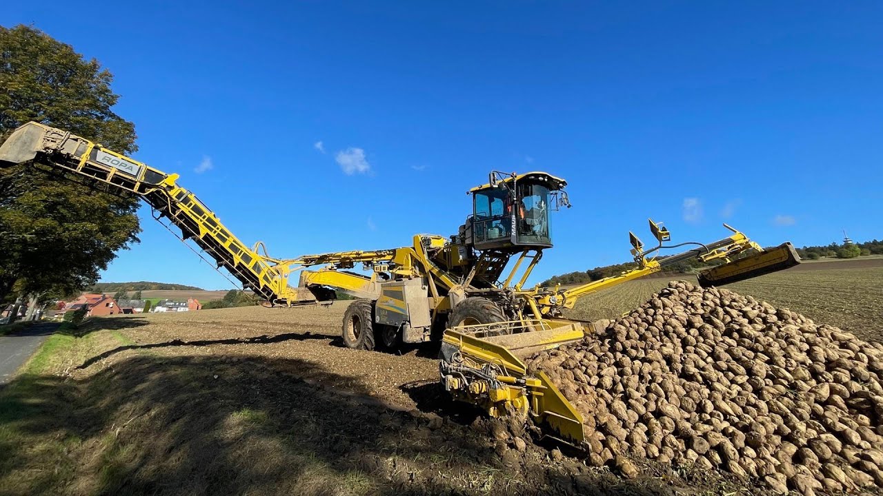 Große Maschinen, süße Ernte - Rübenkampagne in Niedersachsen | Die Nordreportage | NDR