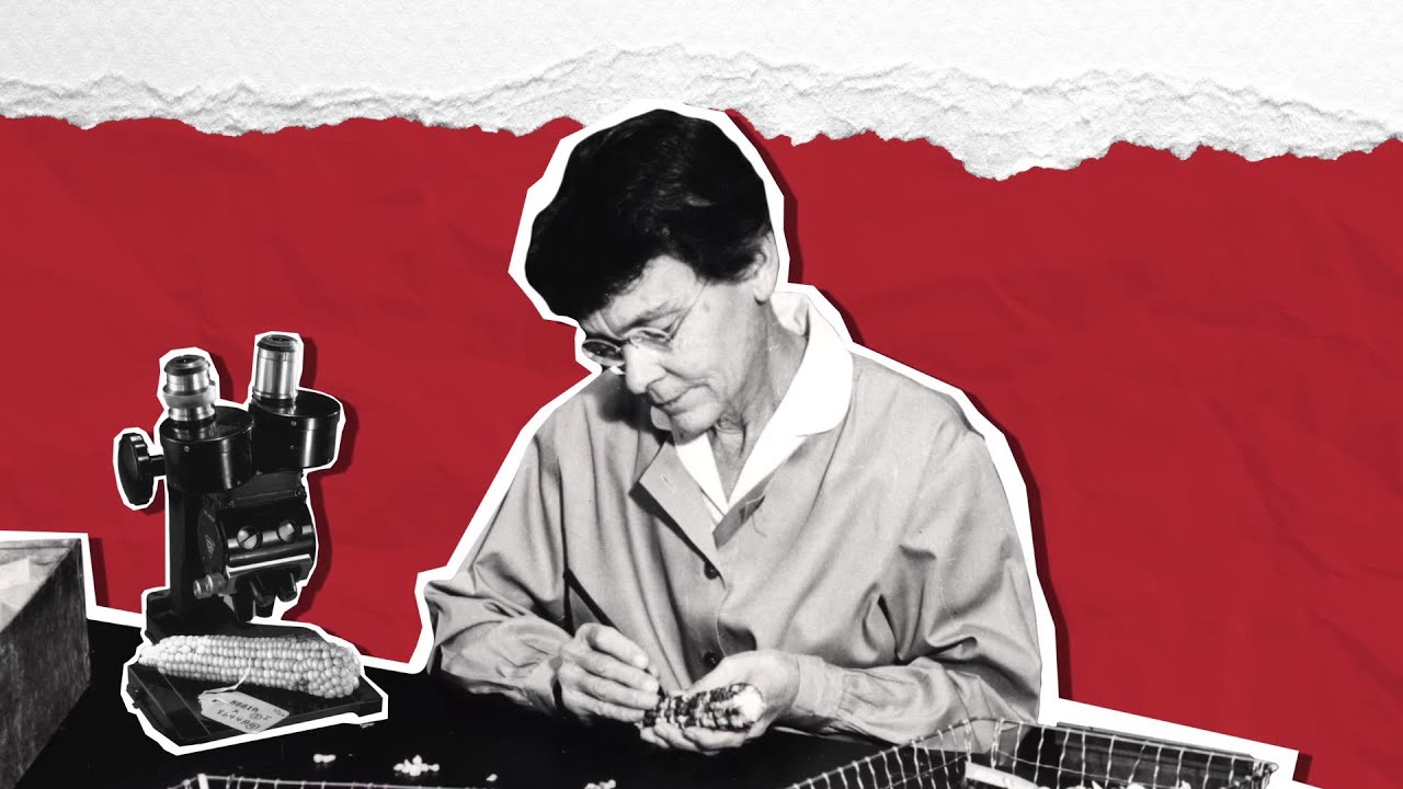 Barbara McClintock: Scientific Persistence Pays Off