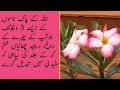 Chehre Ki Khubsurti Ka Asan Wazifa L Wazifa For Beauty L Face Beauty