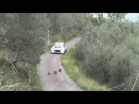 8° Rally di Reggello e del Valdarno Fiorentino 2015 (PS 6)