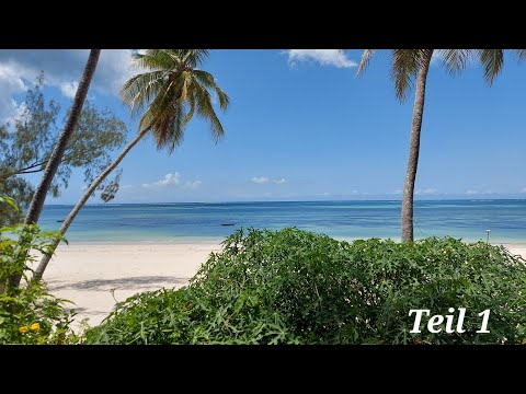 Flying Hoppers in Tansania und auf Sansibar 2022, Teil 1 von 3