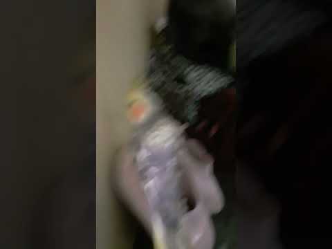 14 de setembro de 2023