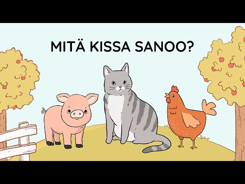 Kielinuppu - Mitä kissa sanoo?