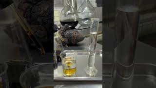ČAGA EXTRAKT DVOJITÝ TINKTURA 50 ml