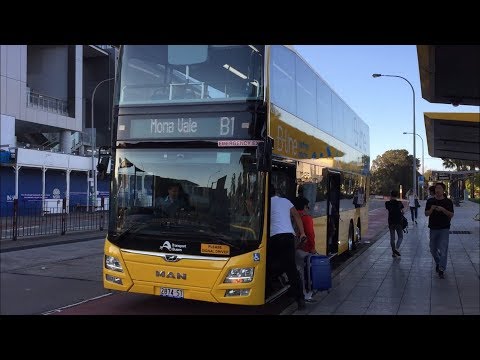 STA Sydney 2874 ST - MAN ND323F (ZF EcoLife)