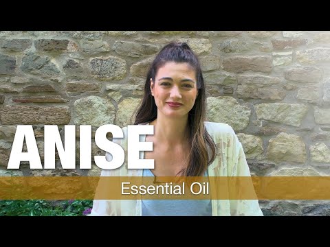 download lagu mp3 mp4 Anise History, download lagu Anise History gratis, unduh video klip Anise History