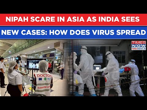 Asia Gets Nipah Scare As India Sees New Cases| How Does The Virus More Lethal Than COVID-19 Spread