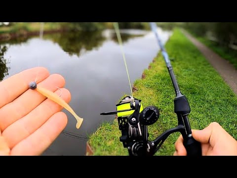 Light Lure Fishing For Perch