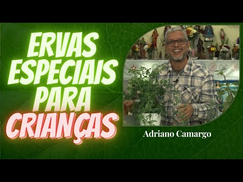 Ervas especiais para Crianças com Adriano Camargo [Rituais com Ervas]