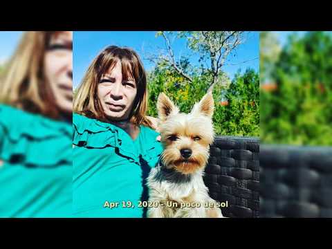 Lizy Tagliani #lizytagliani : 50 Most Memorable Moments #2020