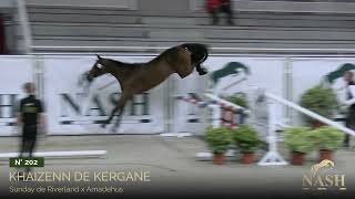 N°202 - Khaizenn de Kergane - TRAINING NASH Elite Auction - October 27th, 28th & 29th of 2023