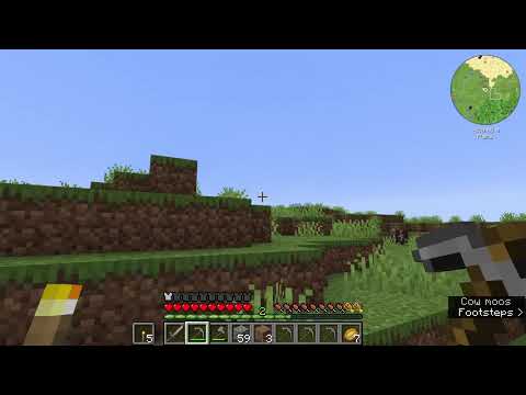 Direwolf20's Modpack 1.16 Ep 1