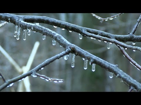 Ice Storm Accumulation In Kalamazoo Michigan - 2/22/2023