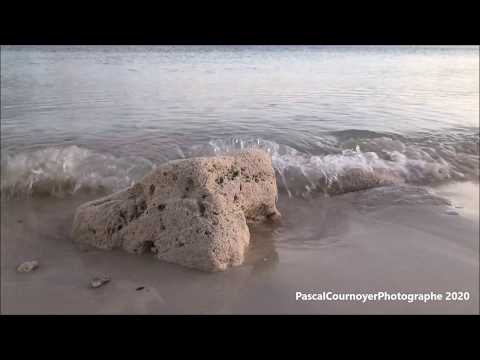 Videos del Viva Fortuna Beach By Wyndham A Trademark 3★ en Freeport, BahamasVer MásVerPrecios20CerrarConsulta por Whatsapp 🇦🇷BookingTripadvisorExpediaAgodaTravelocityOrbitzPricelineTripSkyscannerDespegarKayakHotelesBestdayDestiniaTrivagoTurismocityAlmundoLastminuteHotwireWotif