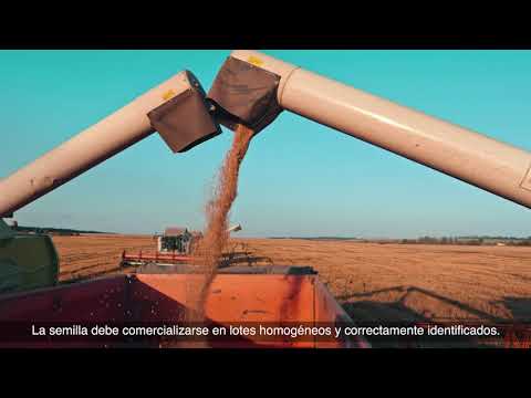 Fotograma del vídeo: Conoce la Oficina Española de Variedades Vegetales