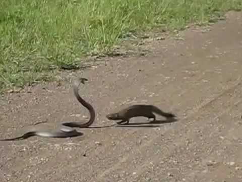 MOTIVATION OF LIFE CHANGE