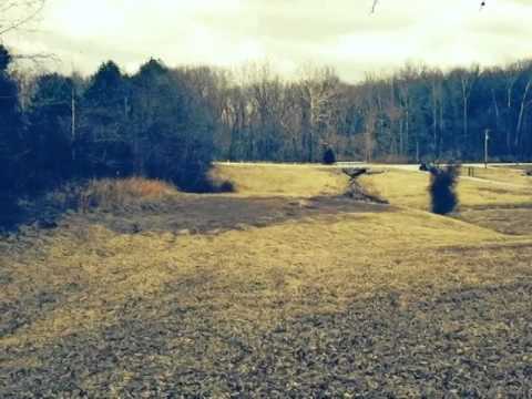 Homes for Sale - E 250 S Washington IN 47501 - Kelly Smith