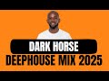 DARK HORSE DEEP HOUSE MIX LIVE CENTURION SHISANYAMA
