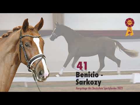 Lot 41: Hengst v. Benicio/Sarkozy